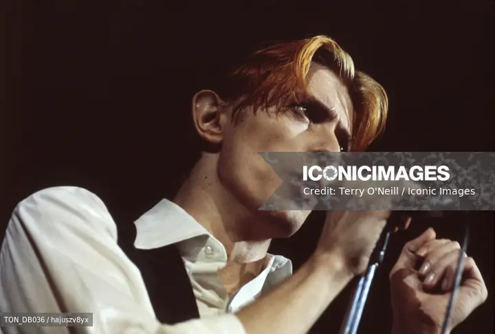 David Bowie