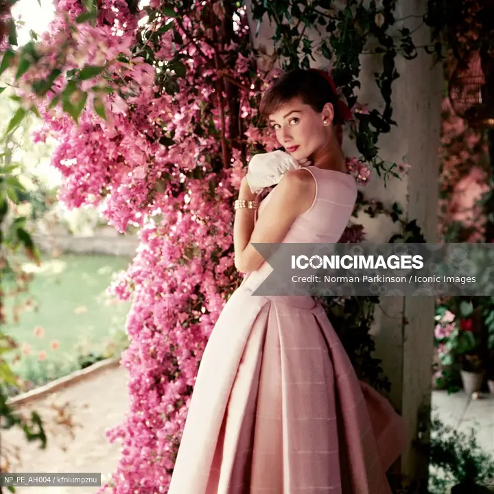 Audrey Hepburn