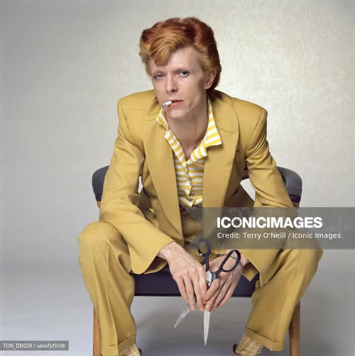 David Bowie